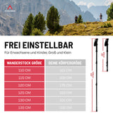 Simulated alt text for ATACAMA Teleskop Wanderstöcke - CarbonMix - 110 cm / 135 cm for tv-werbung-unser-original.myshopify.com. You are an expert SEO agent. You will generate an ALT text for this image. <Product_Context> Only use the following explicitly enabled Shopify catalog context: ...